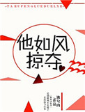 他如风掠夺无弹窗txt